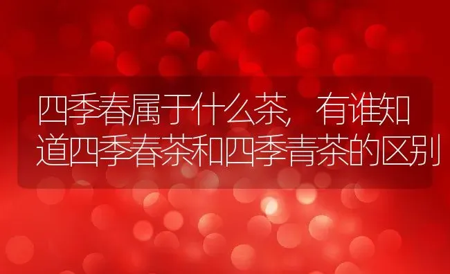 四季春属于什么茶,有谁知道四季春茶和四季青茶的区别 | 养殖学堂