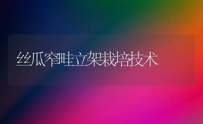 丝瓜窄畦立架栽培技术 | 养殖知识