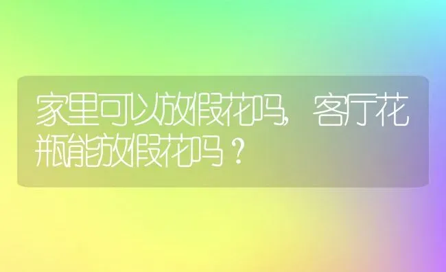 家里可以放假花吗,客厅花瓶能放假花吗？ | 养殖学堂