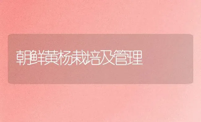 朝鲜黄杨栽培及管理 | 养殖技术大全