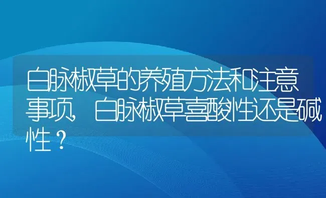 白脉椒草的养殖方法和注意事项,白脉椒草喜酸性还是碱性？ | 养殖科普