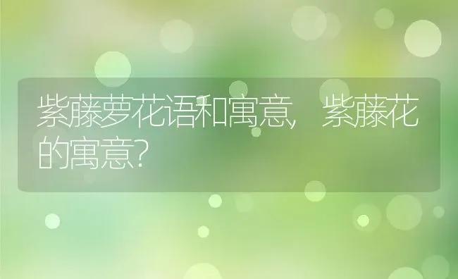 紫藤萝花语和寓意,紫藤花的寓意？ | 养殖科普