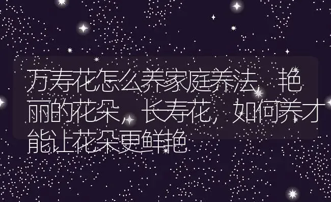 万寿花怎么养家庭养法,艳丽的花朵，长寿花，如何养才能让花朵更鲜艳 | 养殖学堂