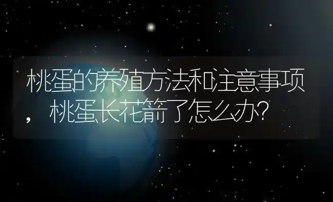 桃蛋的养殖方法和注意事项,桃蛋长花箭了怎么办？ | 养殖科普