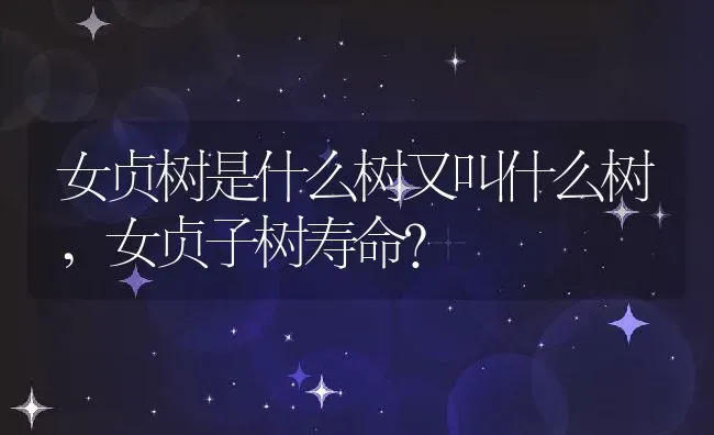 女贞树是什么树又叫什么树,女贞子树寿命？ | 养殖科普