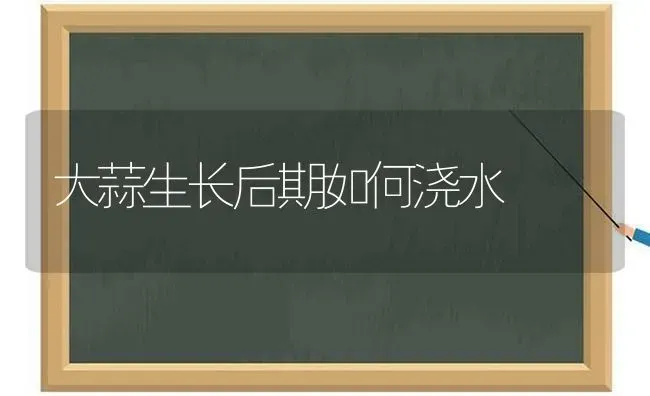 大蒜生长后期如何浇水 | 养殖知识