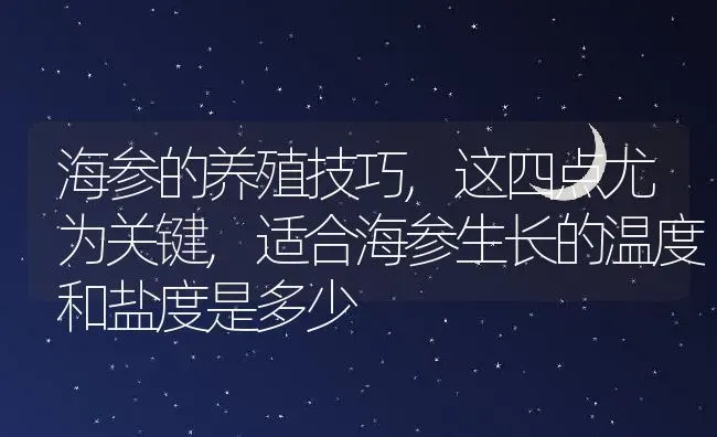海参的养殖技巧,这四点尤为关键,适合海参生长的温度和盐度是多少 | 养殖学堂