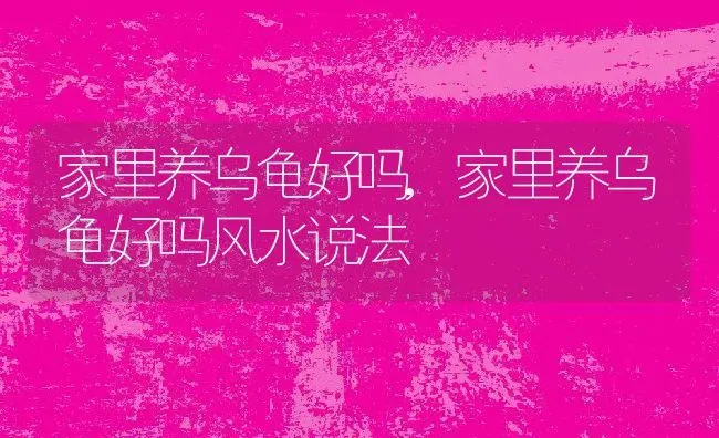 家里养乌龟好吗,家里养乌龟好吗风水说法 | 养殖科普