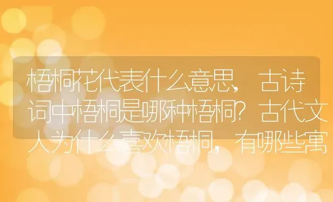 梧桐花代表什么意思,古诗词中梧桐是哪种梧桐？古代文人为什么喜欢梧桐，有哪些寓意 | 养殖学堂