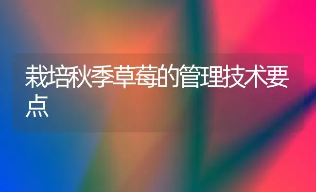 如何科学给犊牛喂奶 | 养殖技术大全