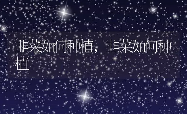 韭菜如何种植,韭菜如何种植 | 养殖科普
