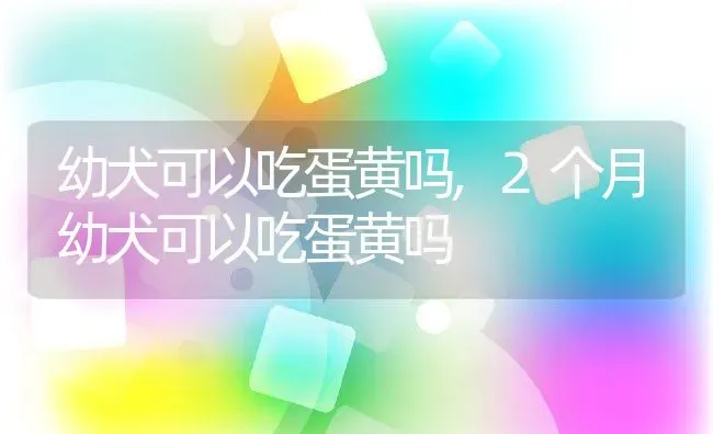 幼犬可以吃蛋黄吗,2个月幼犬可以吃蛋黄吗 | 养殖资料