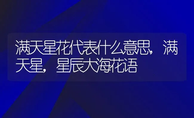 满天星花代表什么意思,满天星，星辰大海花语 | 养殖学堂