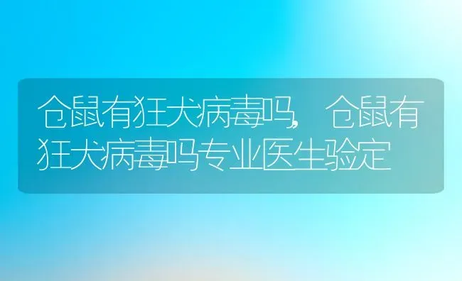 仓鼠有狂犬病毒吗,仓鼠有狂犬病毒吗专业医生验定 | 养殖资料