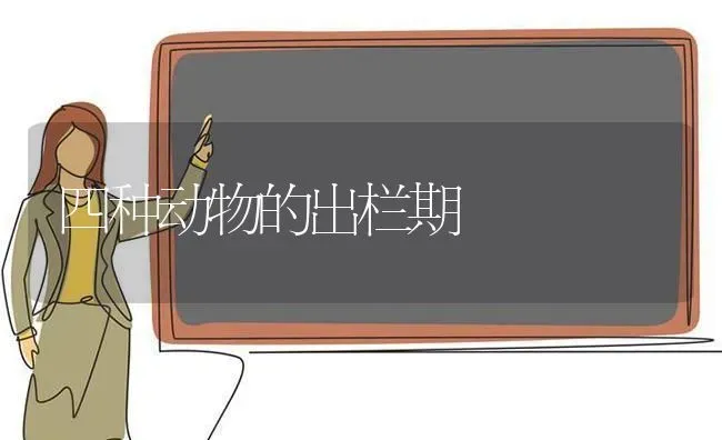 四种动物的出栏期 | 养殖知识