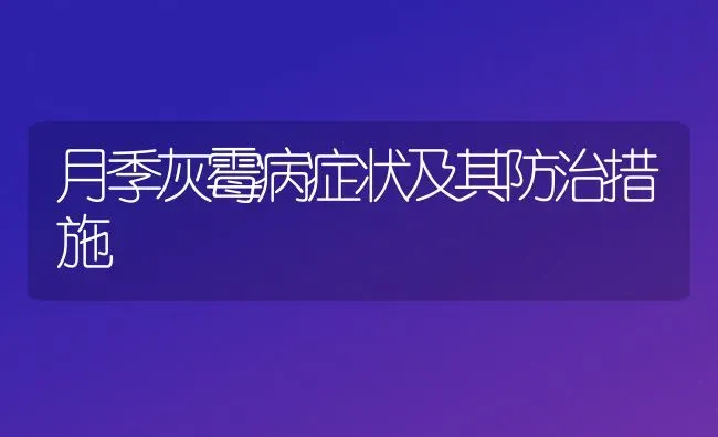 月季灰霉病症状及其防治措施 | 养殖技术大全