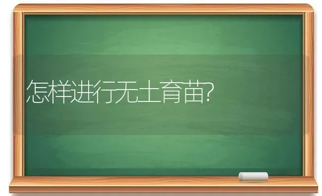 怎样进行无土育苗? | 养殖知识