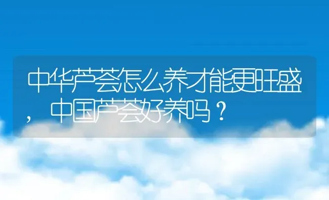 中华芦荟怎么养才能更旺盛,中国芦荟好养吗？ | 养殖科普