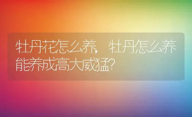 牡丹花怎么养,牡丹怎么养能养成高大威猛？ | 养殖学堂