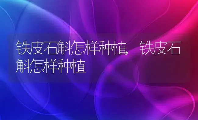 铁皮石斛怎样种植,铁皮石斛怎样种植 | 养殖科普