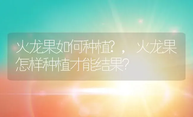 火龙果如何种植?,火龙果怎样种植才能结果？ | 养殖科普
