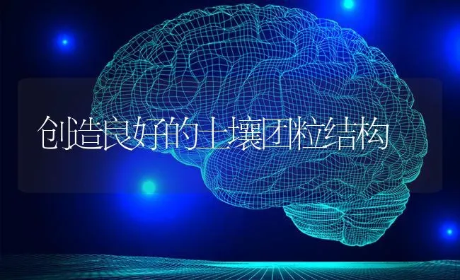 创造良好的土壤团粒结构 | 养殖知识