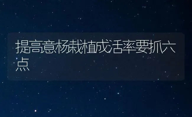提高意杨栽植成活率要抓六点 | 养殖技术大全