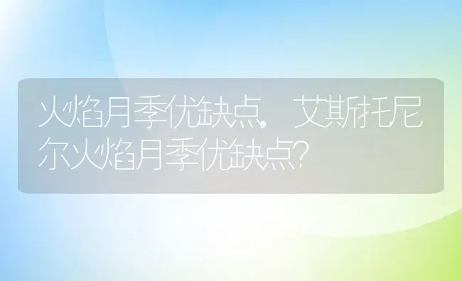 火焰月季优缺点,艾斯托尼尔火焰月季优缺点？ | 养殖科普