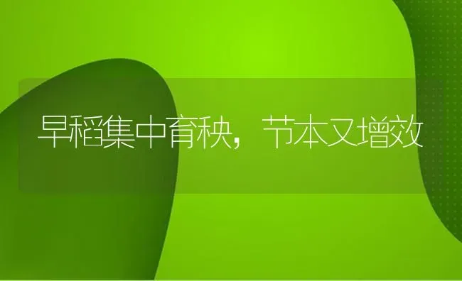 早稻集中育秧,节本又增效 | 养殖知识