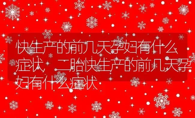 快生产的前几天孕妇有什么症状,二胎快生产的前几天孕妇有什么症状 | 养殖科普