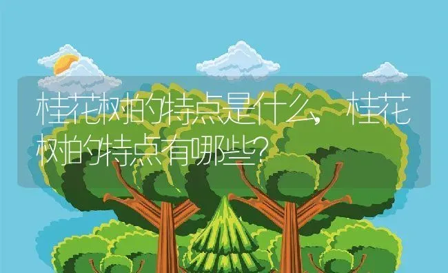 桂花树的特点是什么,桂花树的特点有哪些？ | 养殖科普
