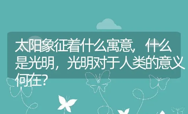 太阳象征着什么寓意,什么是光明，光明对于人类的意义何在？ | 养殖科普