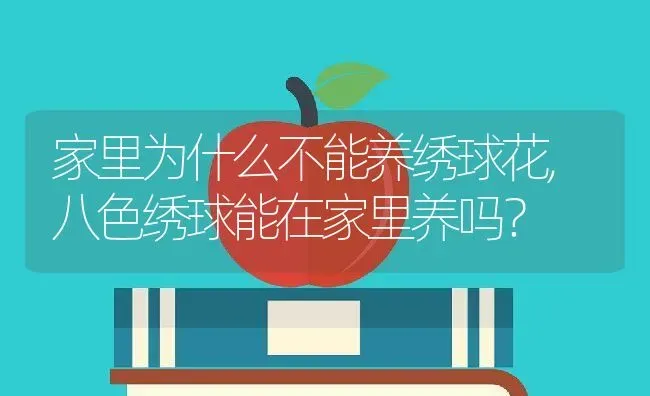 家里为什么不能养绣球花,八色绣球能在家里养吗？ | 养殖学堂