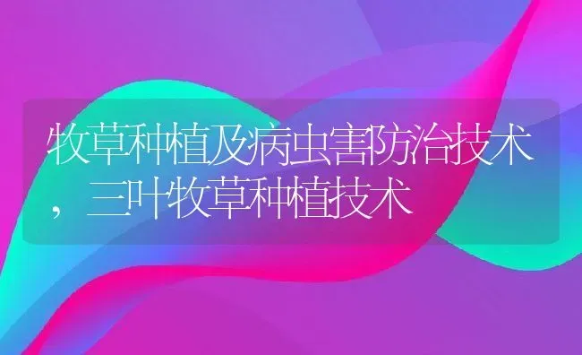 牧草种植及病虫害防治技术,三叶牧草种植技术 | 养殖学堂
