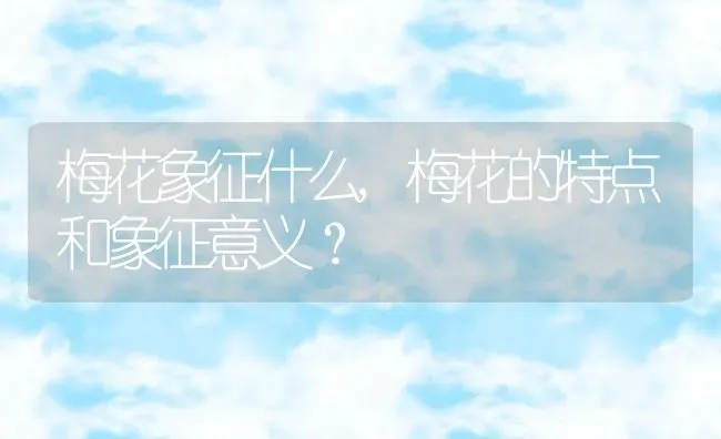 梅花象征什么,梅花的特点和象征意义？ | 养殖科普