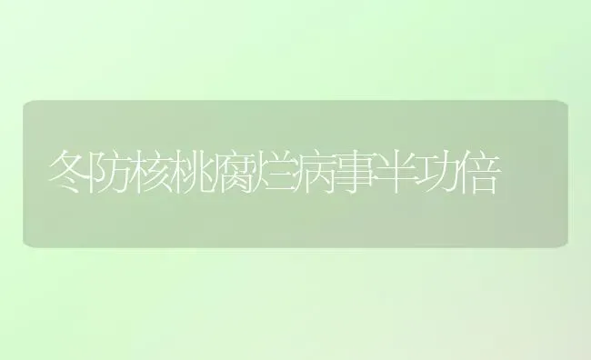 冬防核桃腐烂病事半功倍 | 养殖技术大全