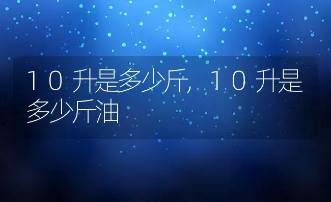 10升是多少斤,10升是多少斤油 | 养殖科普
