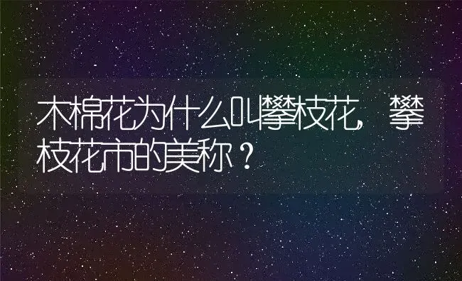 木棉花为什么叫攀枝花,攀枝花市的美称？ | 养殖学堂