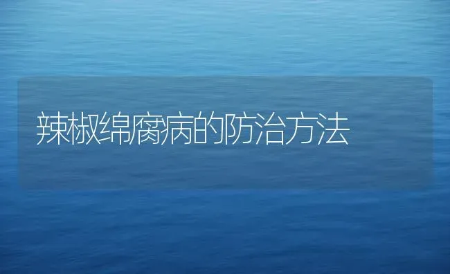 辣椒绵腐病的防治方法 | 养殖技术大全