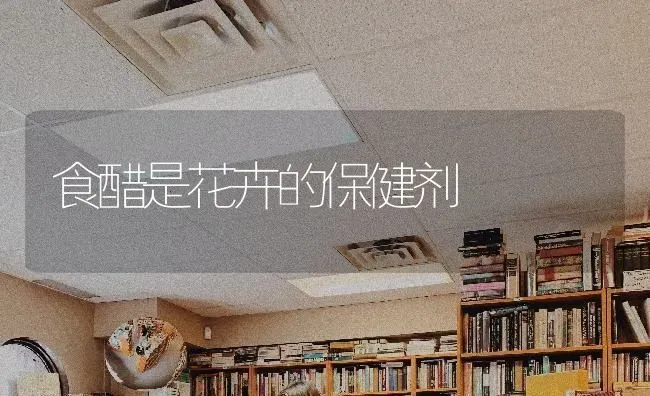 食醋是花卉的保健剂 | 养殖知识