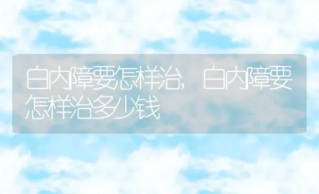 白内障要怎样治,白内障要怎样治多少钱 | 养殖科普