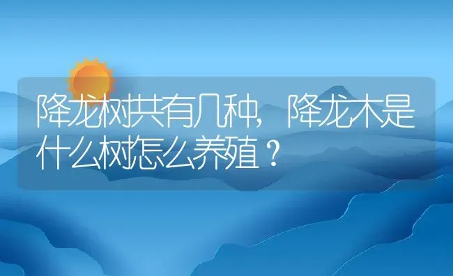 降龙树共有几种,降龙木是什么树怎么养殖？ | 养殖科普