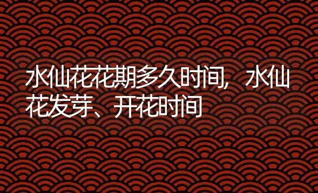 水仙花花期多久时间,水仙花发芽、开花时间 | 养殖学堂