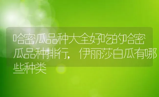 哈密瓜品种大全好吃的哈密瓜品种排行,伊丽莎白瓜有哪些种类 | 养殖学堂