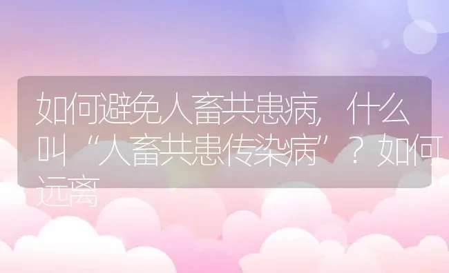 如何避免人畜共患病,什么叫“人畜共患传染病”？如何远离 | 养殖学堂