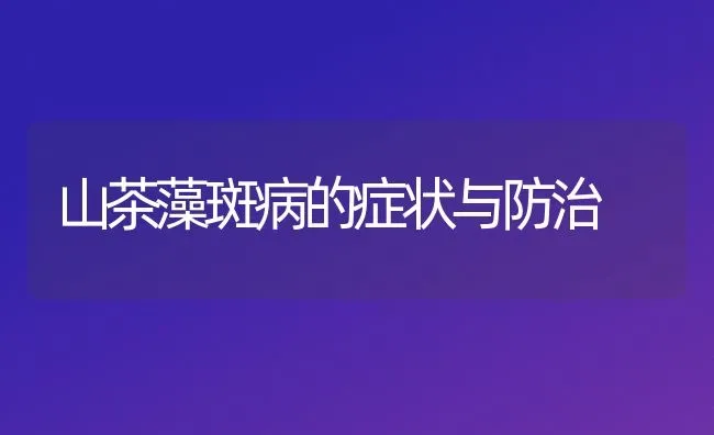 山茶藻斑病的症状与防治 | 养殖知识