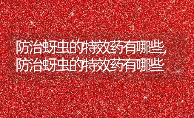 防治蚜虫的特效药有哪些,防治蚜虫的特效药有哪些 | 养殖科普