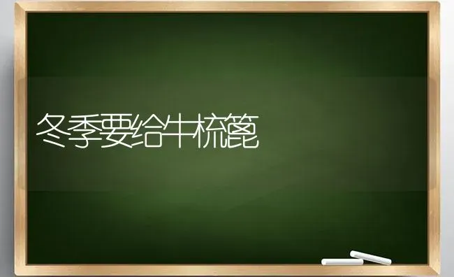 冬季要给牛梳篦 | 养殖技术大全