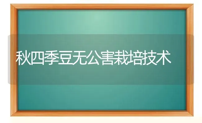 秋四季豆无公害栽培技术 | 养殖技术大全