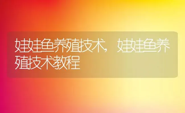 娃娃鱼养殖技术,娃娃鱼养殖技术教程 | 养殖资料